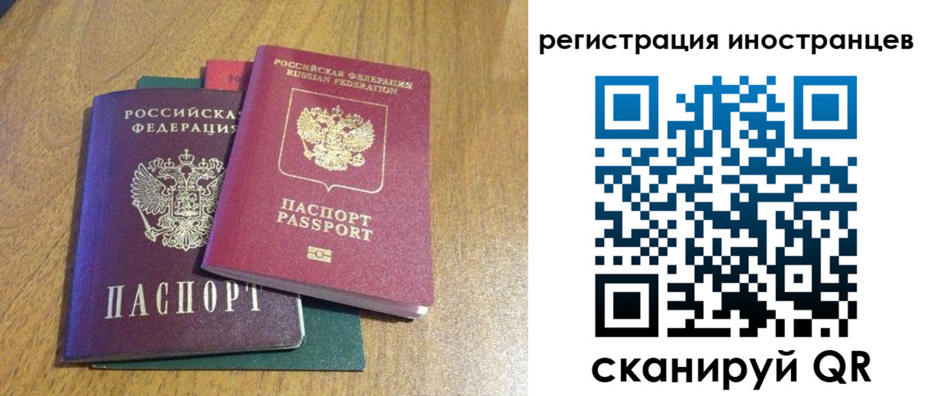 временная регистрация поиск в Краснодаре